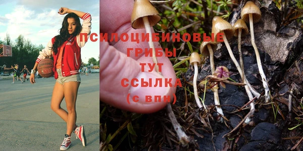 спиды Алзамай