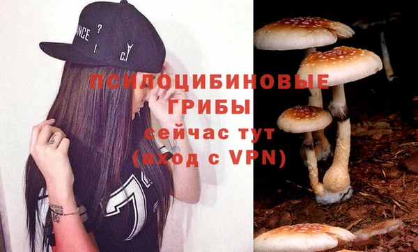 крисы Алексеевка