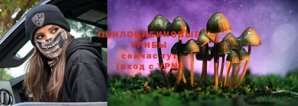 спиды Алзамай